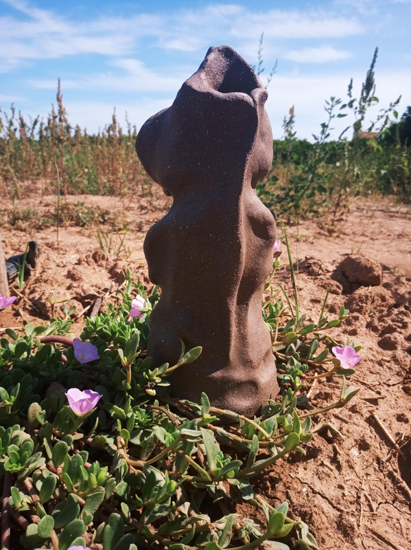 Guardiana-de-la-tierra-adolescencia